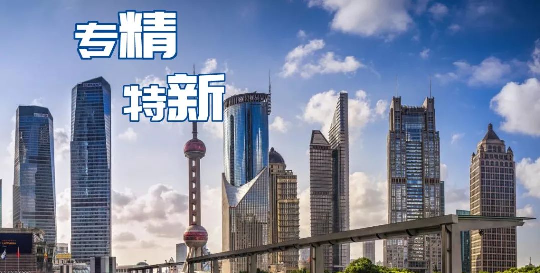 青岛专精特新的认定标准