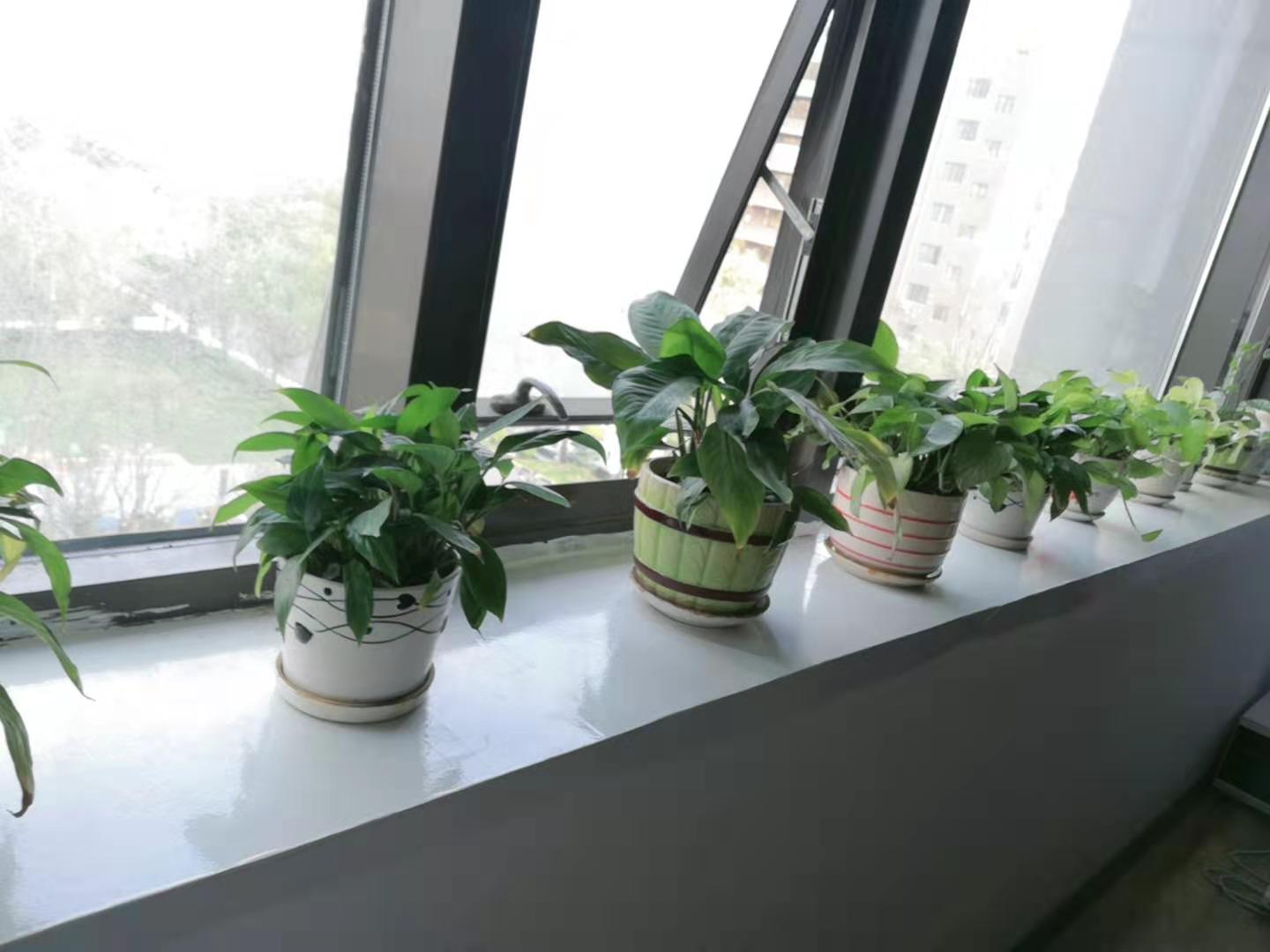 山东涉密资质办理，软件开发资质要求